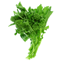 Sweet Broccoli Raab