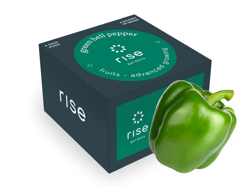 Green Bell Pepper