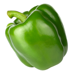 Green Bell Pepper