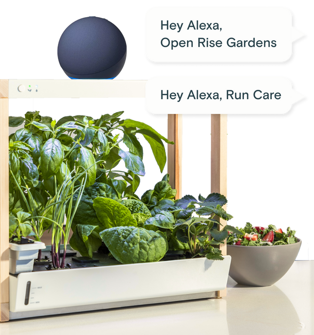 Personal Indoor Garden | Hydroponic Smart Garden