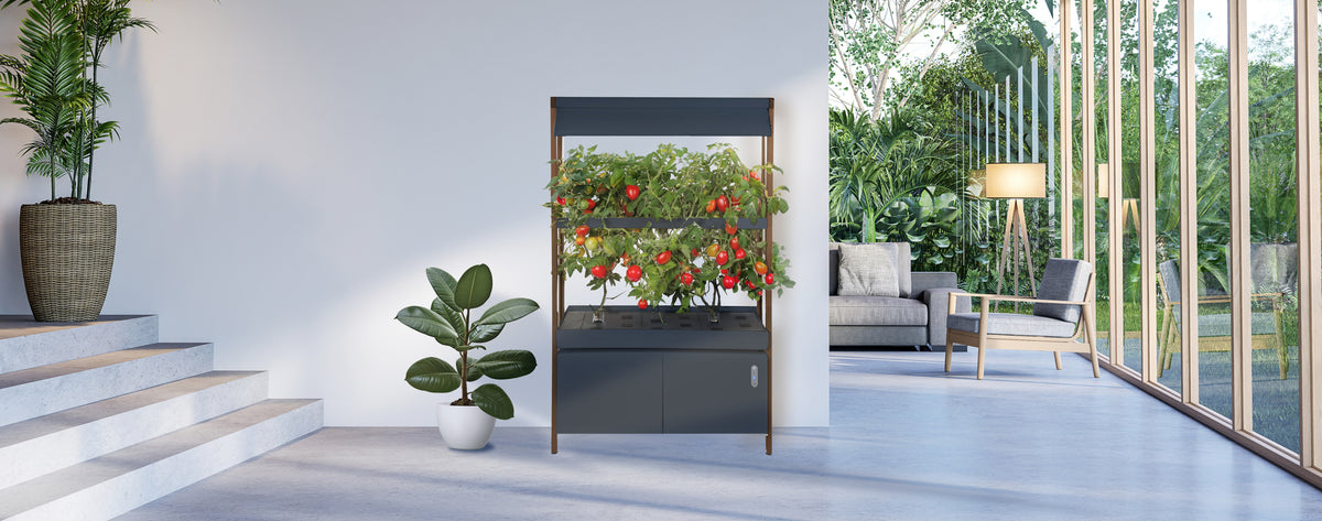 Rise Roma | The only Hydroponic Garden That can Grow this Big