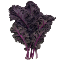 Scarlet Kale