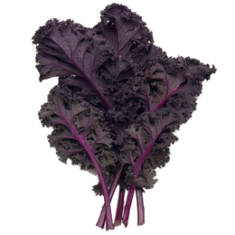 Scarlet Kale