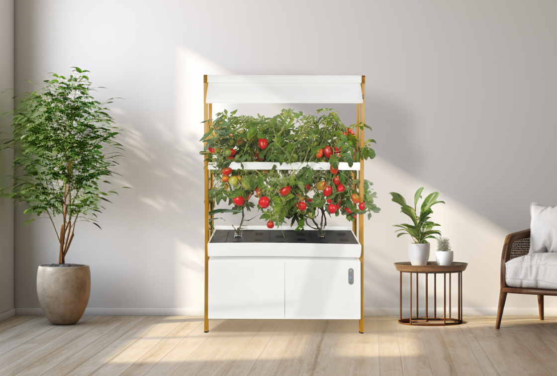 Hydroponic Garden for Home Indoor Garden by Rise Gardens