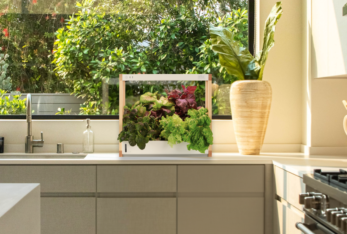 Hydroponic Garden for Home Indoor Garden by Rise Gardens