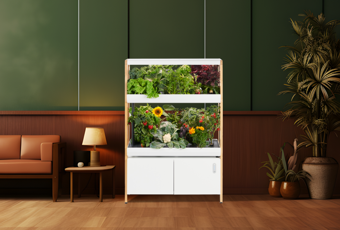Hydroponic Garden for Home | Indoor Garden by Rise Gardens