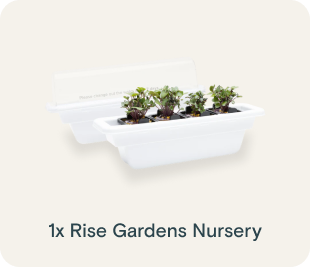 Rise Gardens