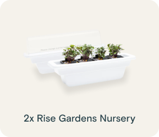 Rise Gardens