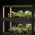 Indoor Garden Extension - Rise Gardens Canada