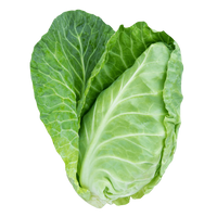 Caraflex cabbage