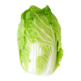 China King Cabbage