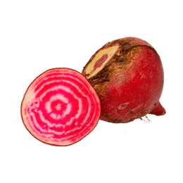 Chioggia Beet