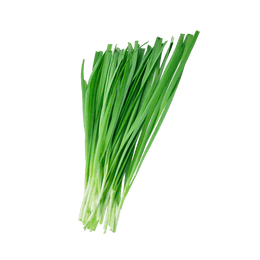 Red Baron Bunching Chives