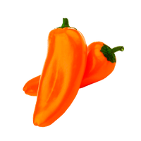 Fresh Bite Orange Pepper