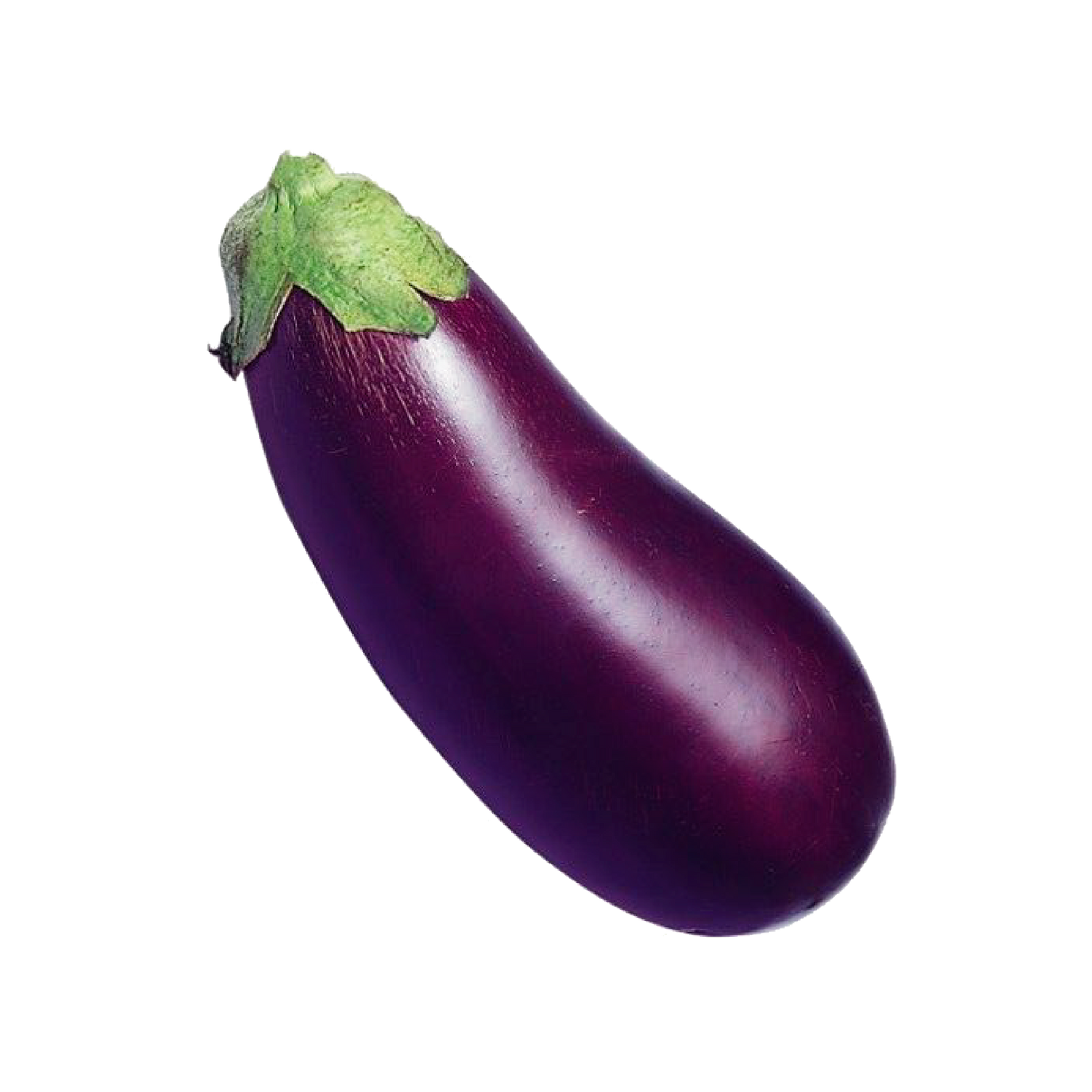 water eggplant Patio Baby Eggplant