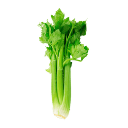 Tango Celery