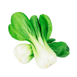 Toy Choy Pak Choi