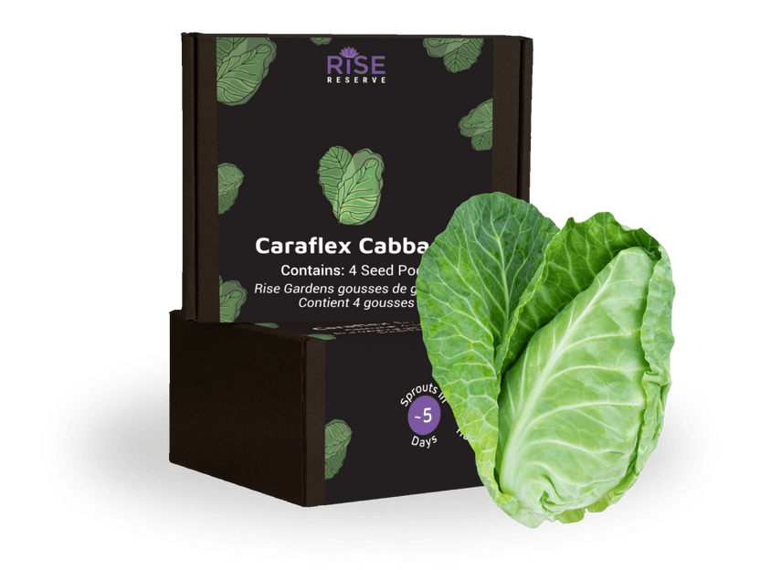 Caraflex cabbage