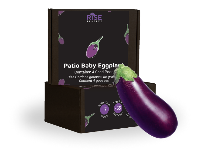 Patio Baby Eggplant