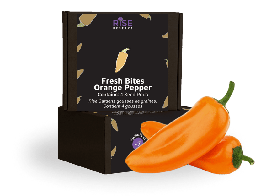 Fresh Bite Orange Pepper