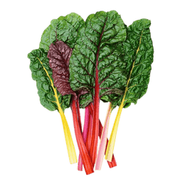 Bright Lights Swiss Chard