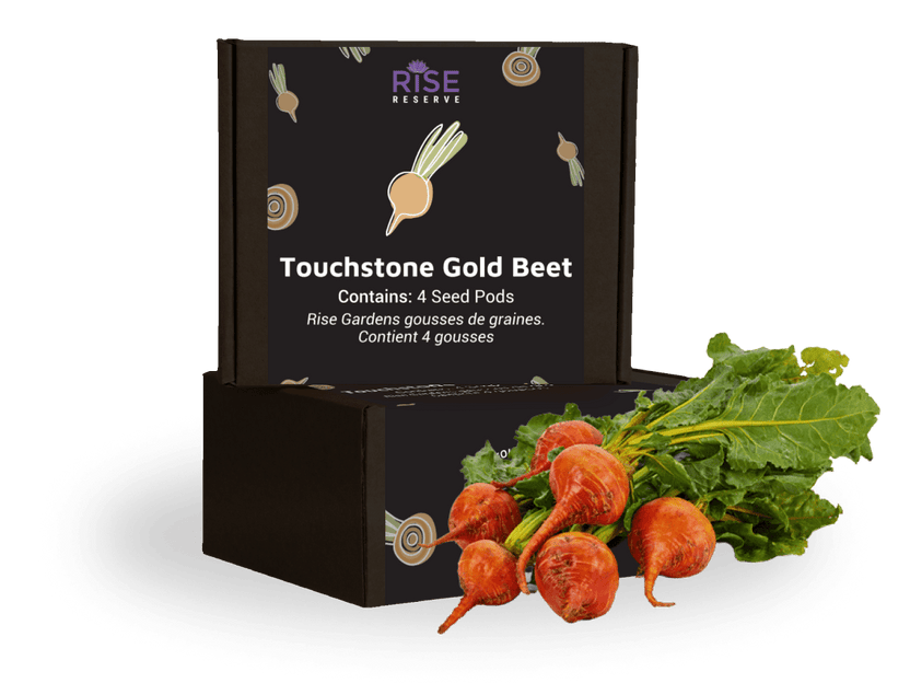 Touchstone Gold Beet