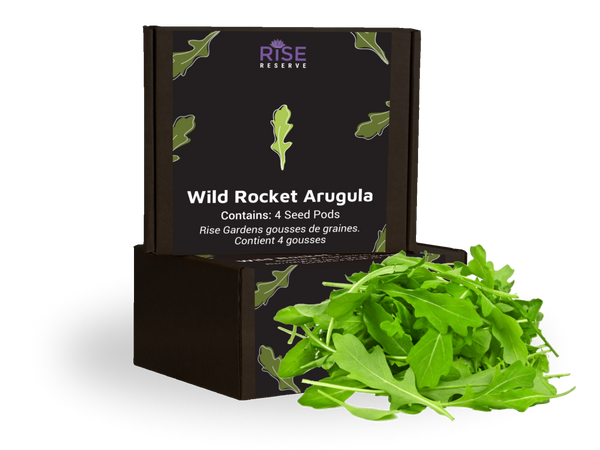Wild Rocket Arugula